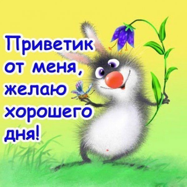 Хорошего дня прикольные