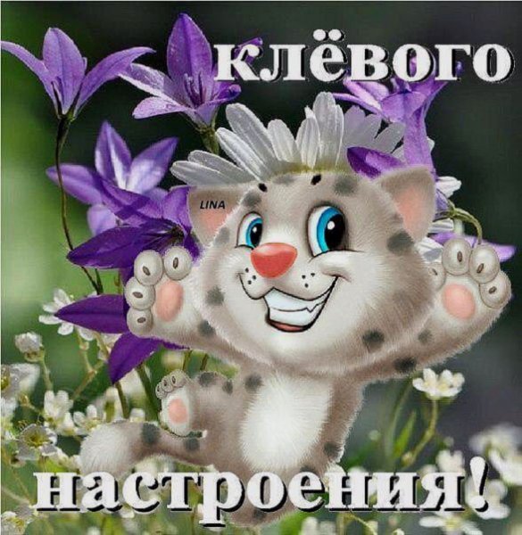 Позитивного настроения и удачного дня