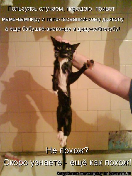 Врагу не сдаётся наш гордый Варяг