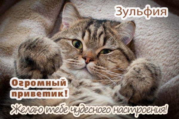 Приветик девчонки