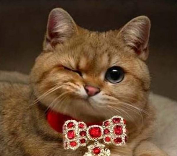 Открытки привет