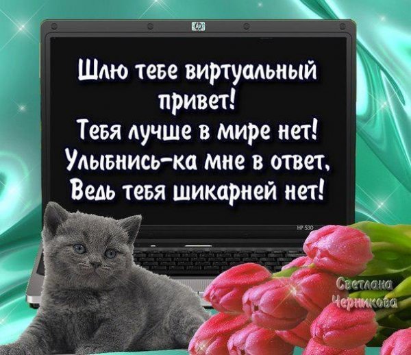 Стих привет