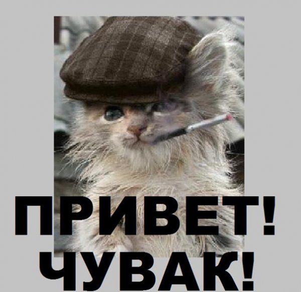 Привет чувак