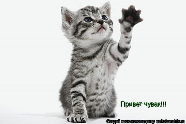 Привет чувак картинки