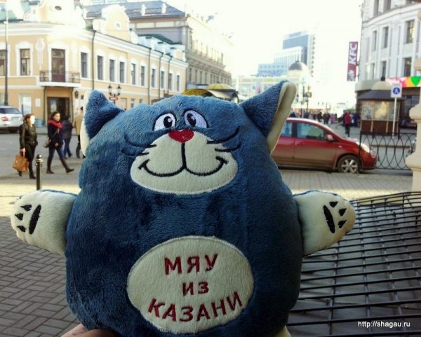 Символ Казани кот Казанский