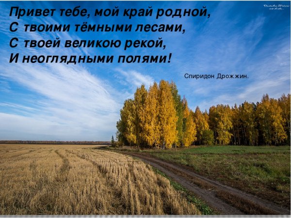 Привет тебе мой край родной с твоими темными лесами