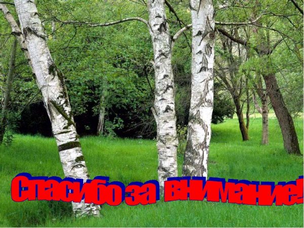 Россия - моя Родина