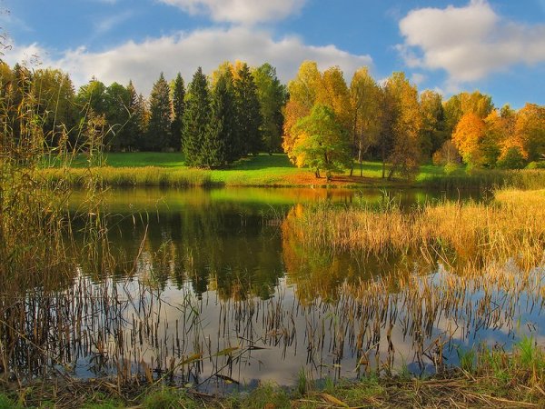 Родина природа