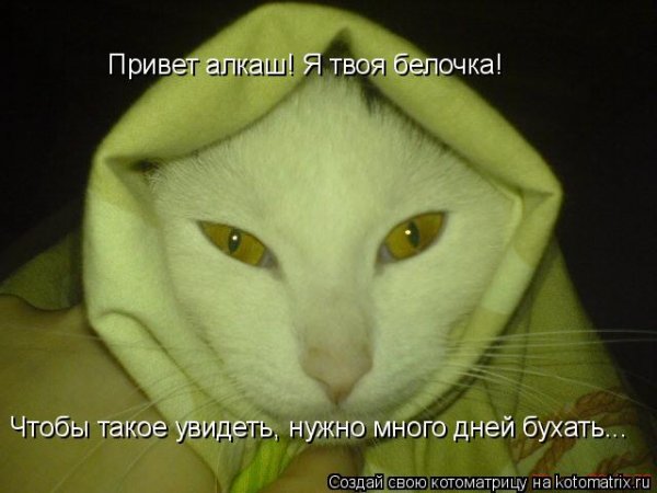 Привет алкашам картинки