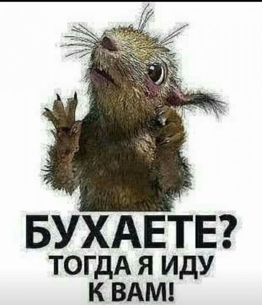 Бухаете тогда я иду к вам