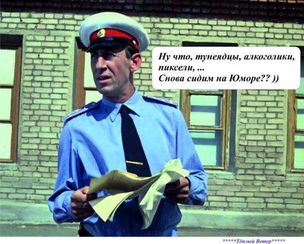 Алкоголики тунеядцы