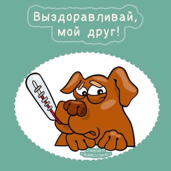 Выздоравливай картинки