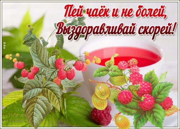Пожелания выздоровления