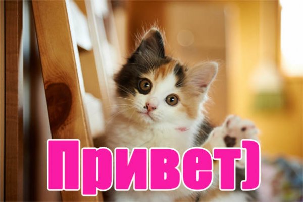 Привет картинки