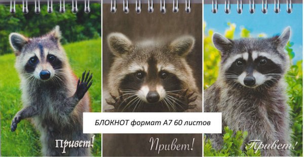 Привет от енота