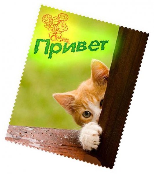 Смешные открытки с приветствием