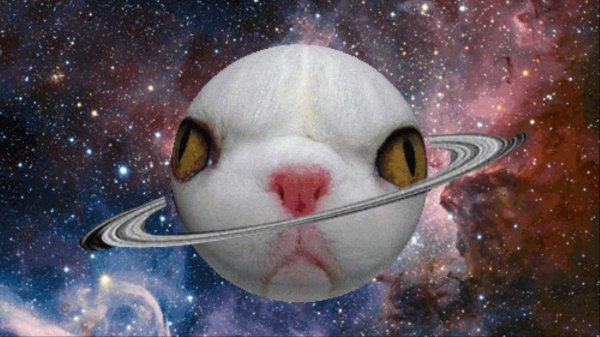 Космический кот с планетами