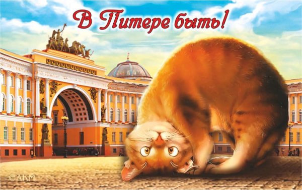 Магнитики с котами Питер