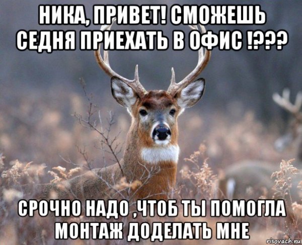 Патриция Спанч Боб