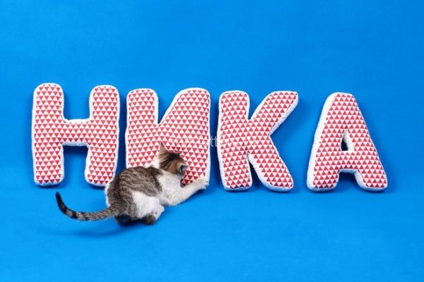 Открытка "Веронике!"