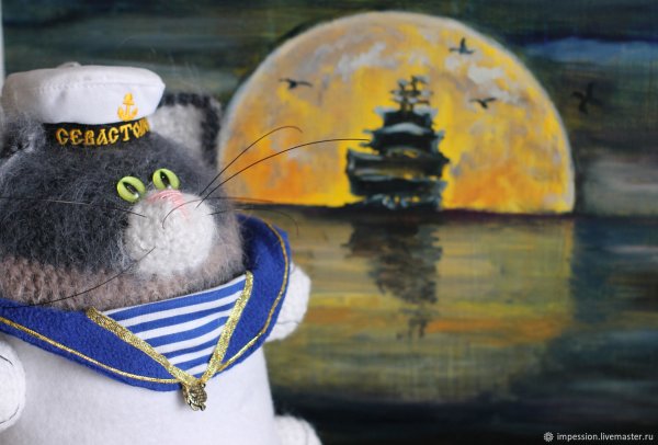 Кот моряк