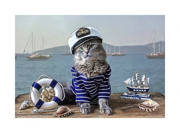 Кот моряк