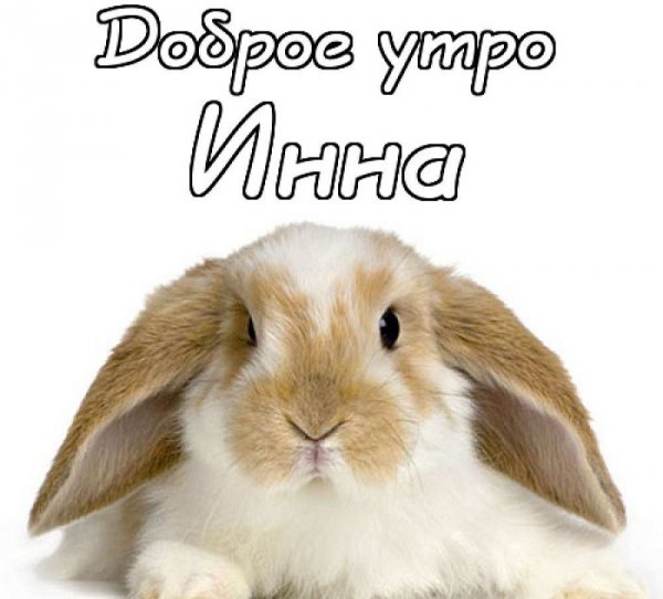 Доброе утро алёнушка