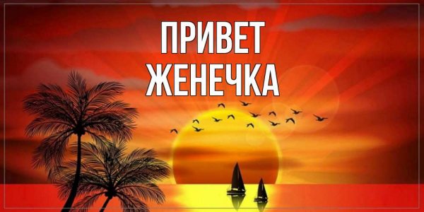 С днём рождения Алексей прикольные и смешные поздравления