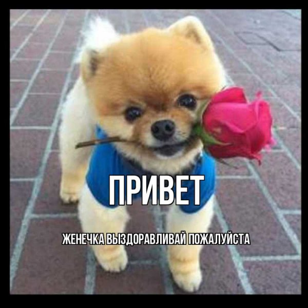Привет Женька картинки