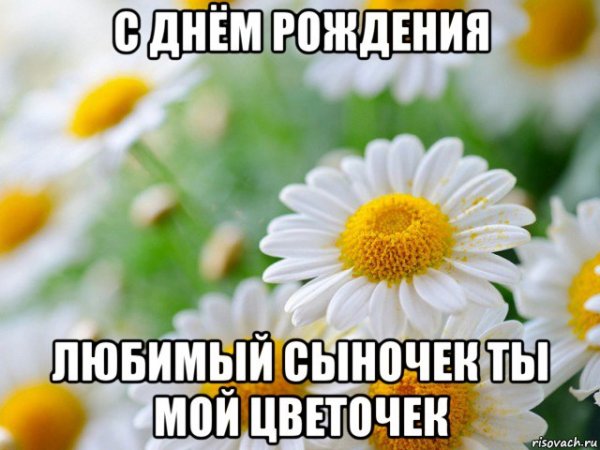 Привет Элина