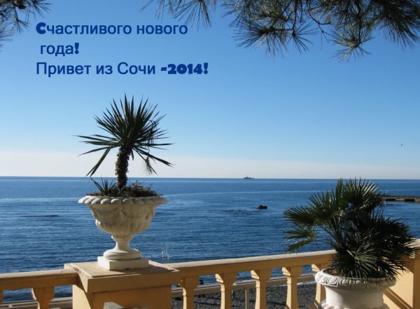 Адлер рыбозавод