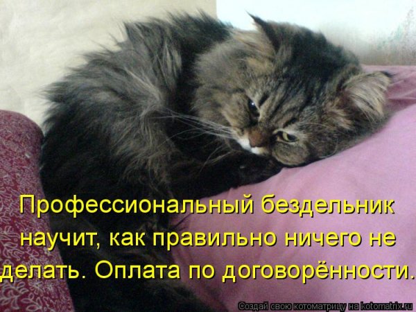 Профессиональный бездельник