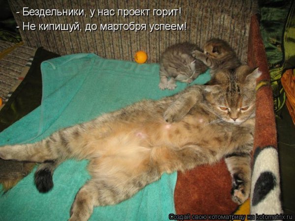 Привет бездельникам
