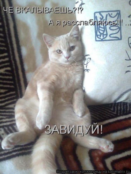 Привет бездельникам