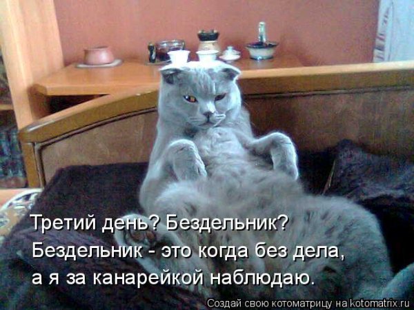 Бездельник прикол