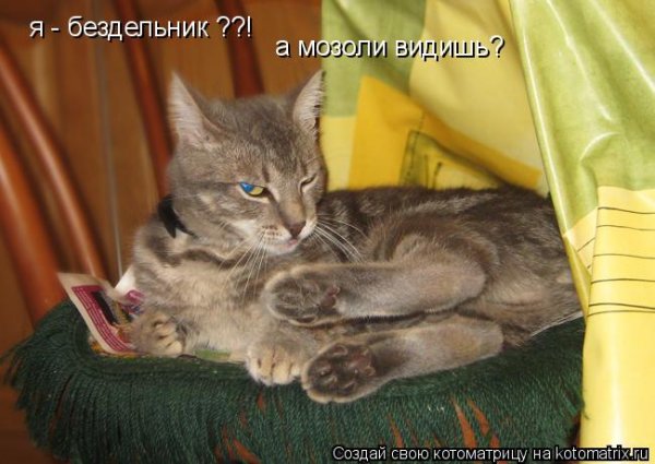 Привет бездельникам