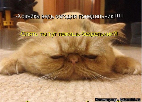 Понедельник бездельник