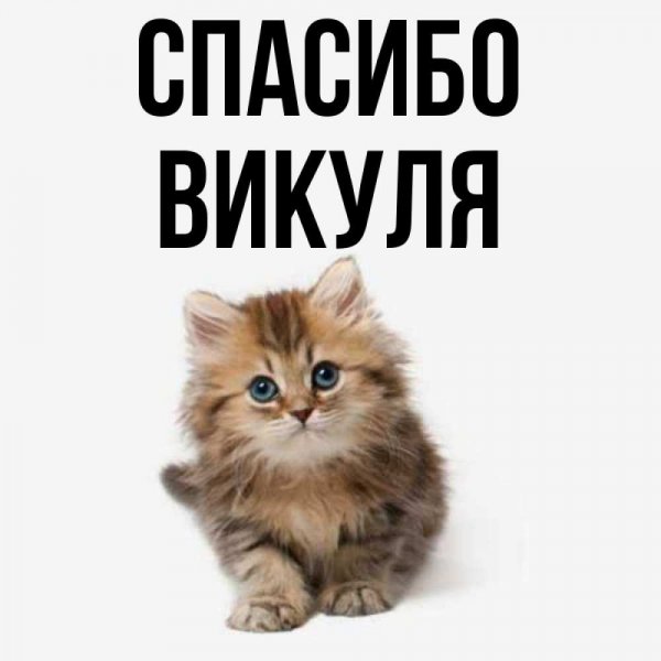 Спасибо Викуля картинка