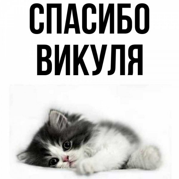 Виктория подушки буквы