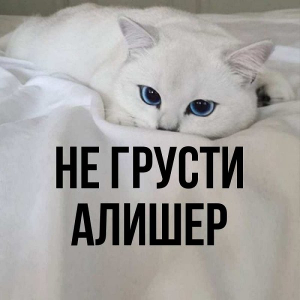 Имя Леха граффити