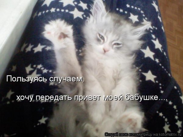 Привет бабушка