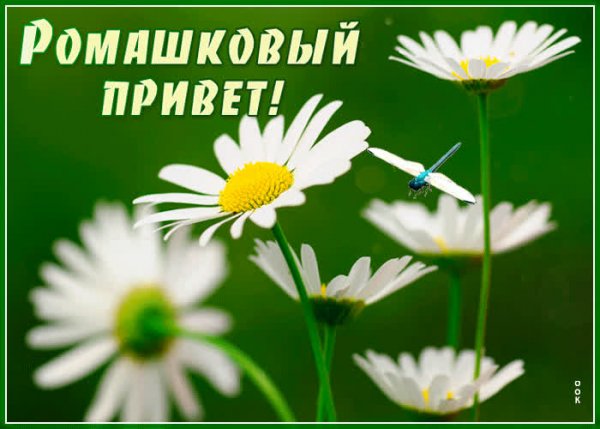 Открытки привет труженикам