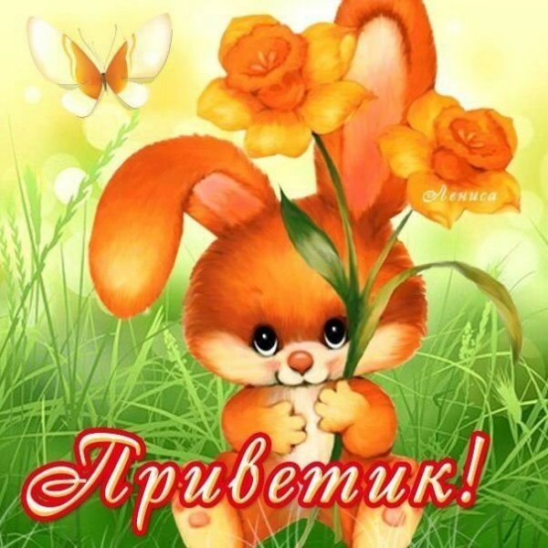 Приветик солнце
