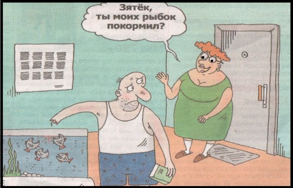 Смешные картинки с журнала зятек