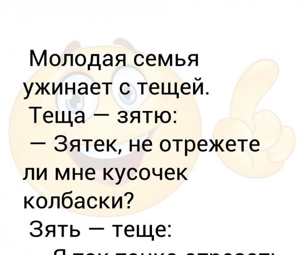 Приколы про зятя от тёщи