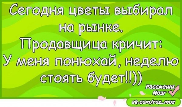 Весёлый анекдот для настроения