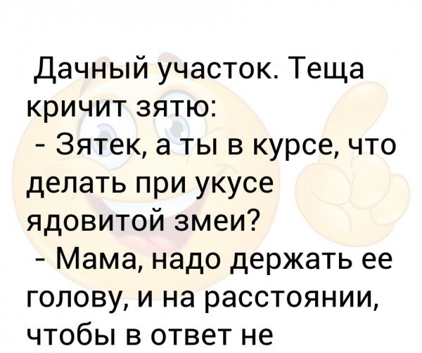 Смешная теща