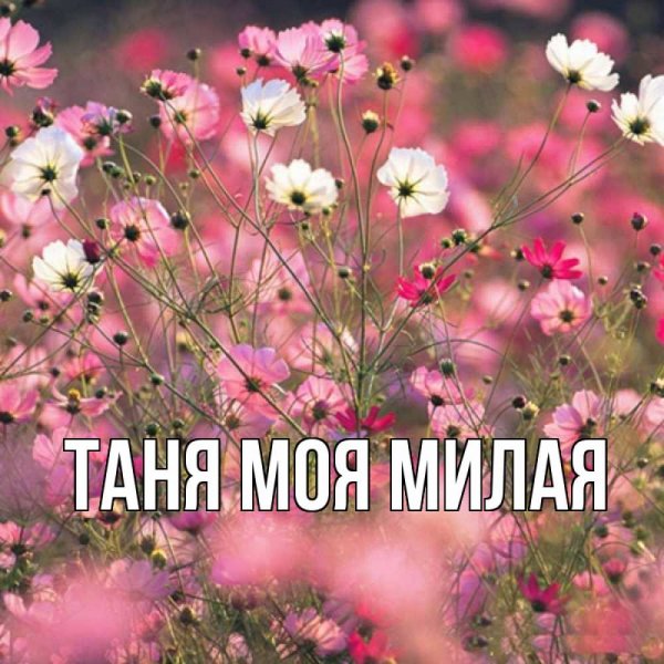 Варечка с днем рождения открытка