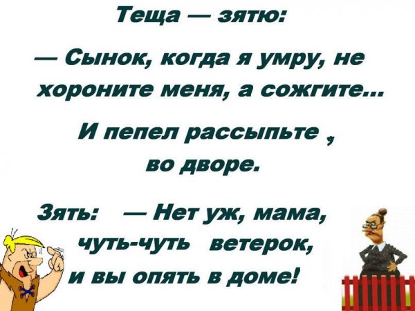 Смешные стишки про зятя