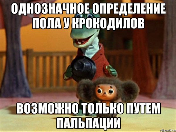 Крокодил Гена много